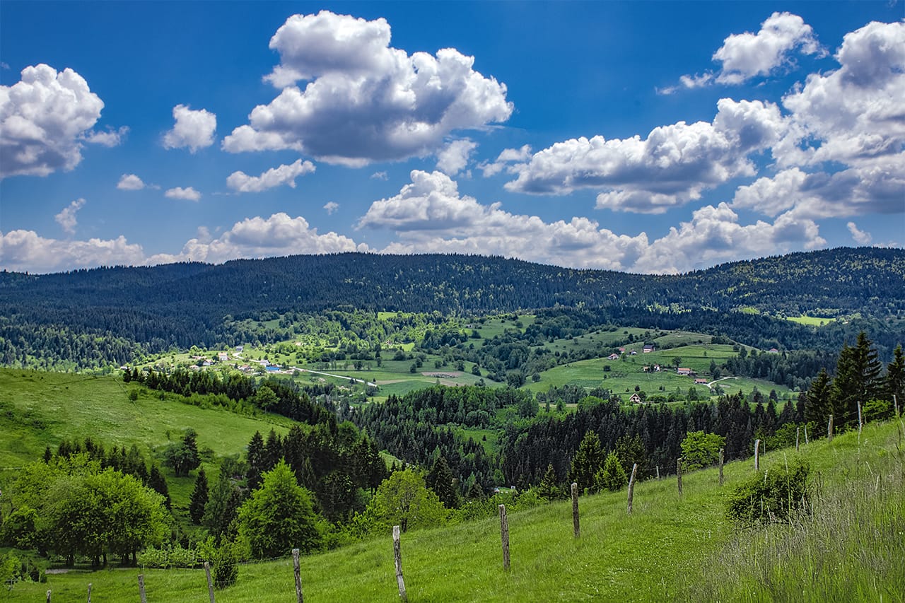 zlatar vila zivkovic
